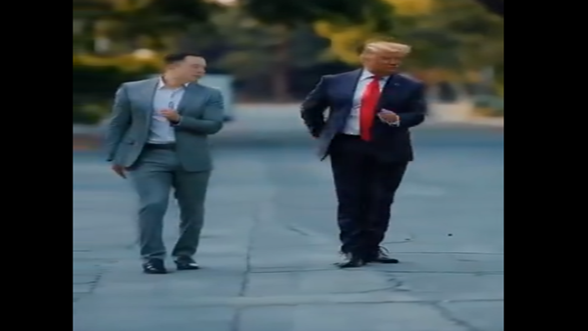 Trump and Musk Viral AI Dance